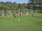 Jeugdtrainingen van maandag 26 augustus 2024 (49/223)